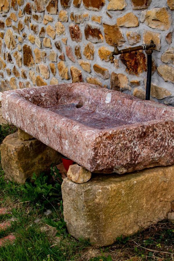 Laga Surf Villa By Urdaibai Rentals Ibarrangelu Dış mekan fotoğraf